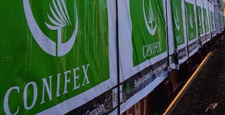 木材产量增长出口提增企业利润分化(图3)