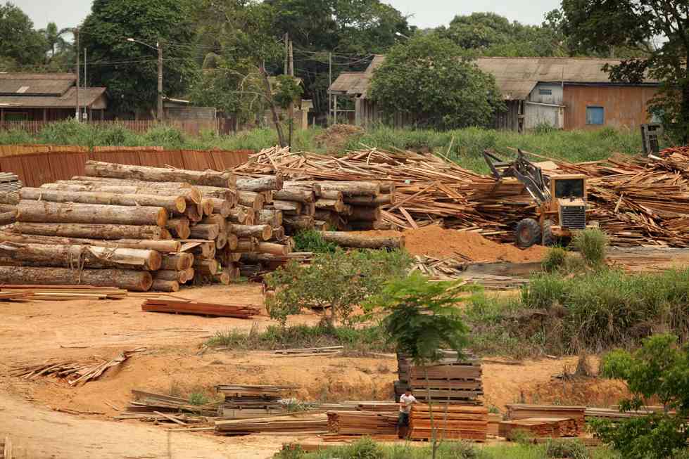 巴西木材出口商遭遇美国扩大关税压力(图1)