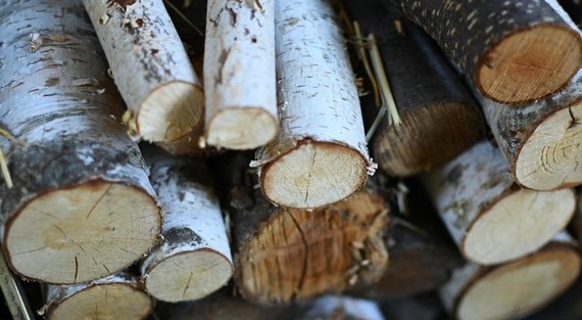 乌克兰木材交易所价格波动解析(图1) 乌克兰木材交易所价格波动解析(图1)