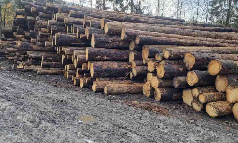 乌克兰木材交易所价格波动解析(图3) 乌克兰木材交易所价格波动解析(图3)