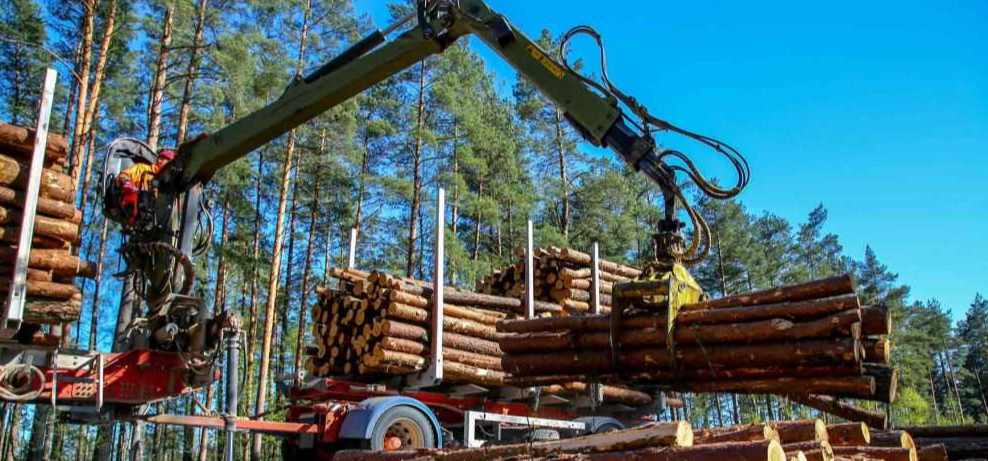 美国木材行业新法案：贷款支持农村加工厂发展(图4)