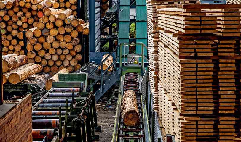 美国木材行业新法案：贷款支持农村加工厂发展(图3)