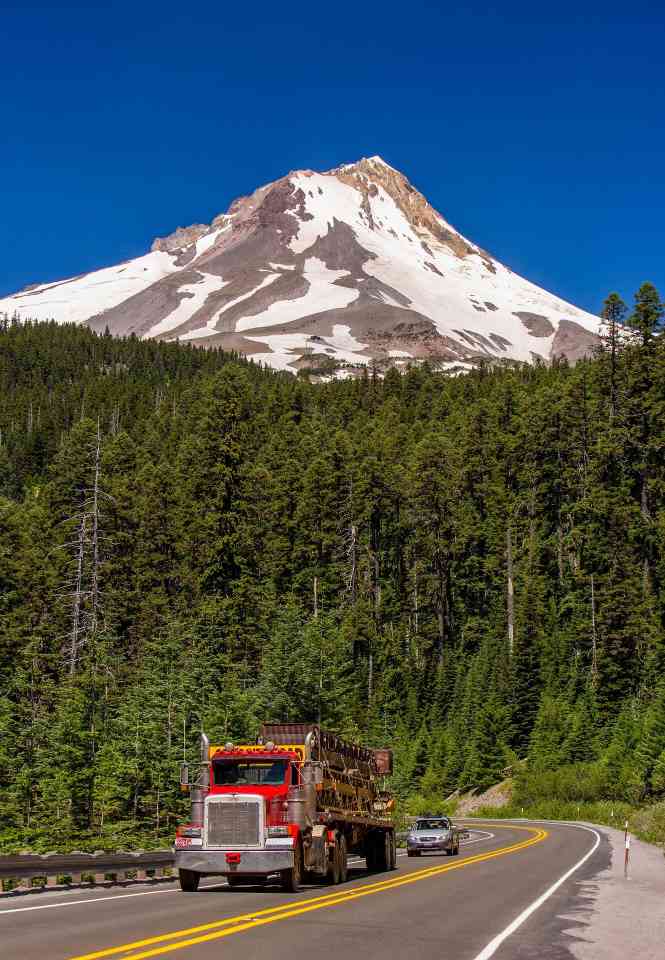 推动木材产业升级 减少野火风险助力社区发展(图1)