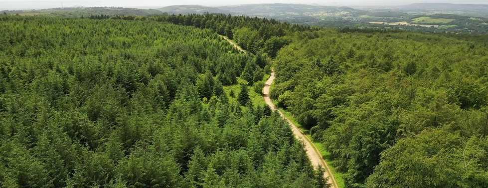 英国商业林业市场显著增长,区域价格差异扩大(图3) 英国商业林业市场显著增长,区域价格差异扩大(图3)