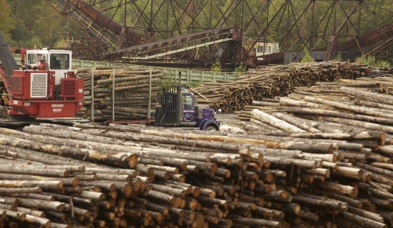 美国原木重返中国市场:需求与供应链双重制约(图2) 美国原木重返中国市场:需求与供应链双重制约(图2)