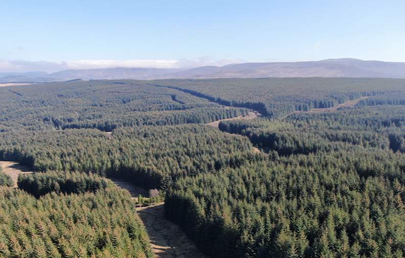 英国商业林业市场显著增长,区域价格差异扩大(图4) 英国商业林业市场显著增长,区域价格差异扩大(图4)