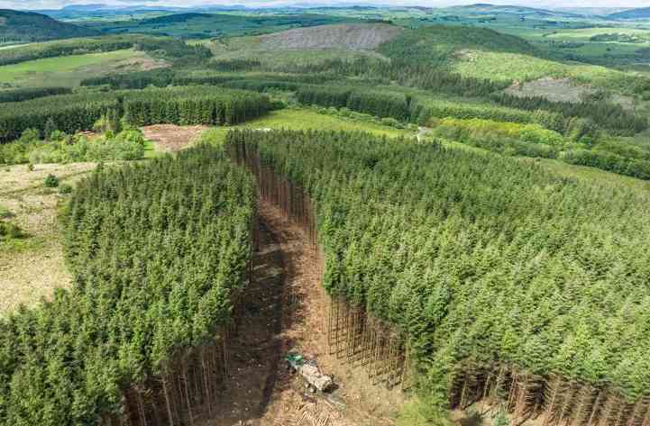 英国商业林业市场显著增长,区域价格差异扩大(图1) 英国商业林业市场显著增长,区域价格差异扩大(图1)