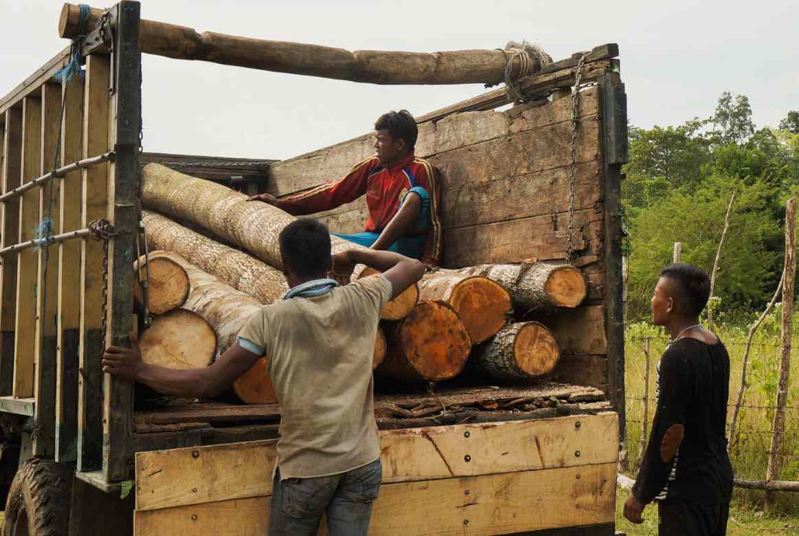 印尼木材合法性认证体系提升可持续供应链透明度(图3)