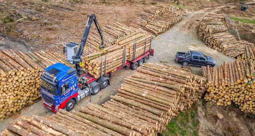 英国与欧盟携手强化木材制裁管制，零容忍违规采购(图3)