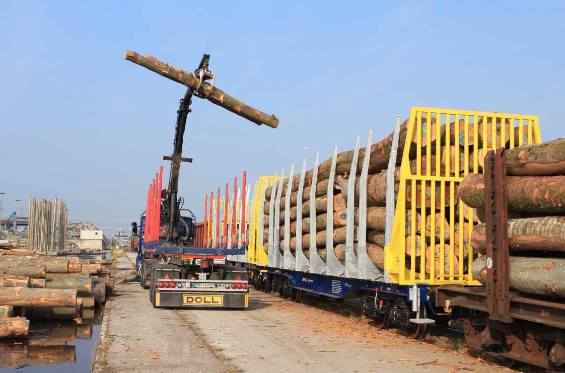 英国与欧盟携手强化木材制裁管制，零容忍违规采购(图1)