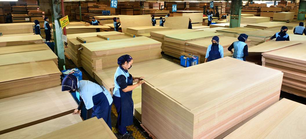 印尼胶合板出口延续增长，市场需求支撑未来前景(图1)