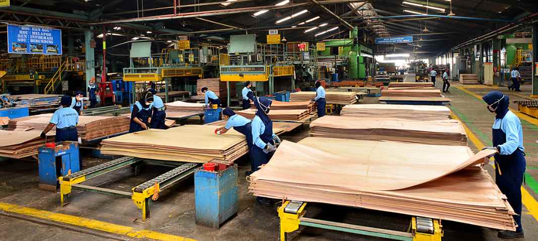 印尼胶合板出口延续增长，市场需求支撑未来前景(图4)