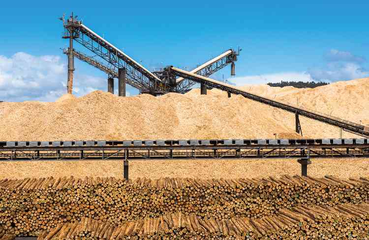 国际软木大会聚焦供应瓶颈与出材率提升机遇(图1)