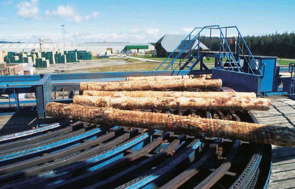 国际软木大会聚焦供应瓶颈与出材率提升机遇(图4)