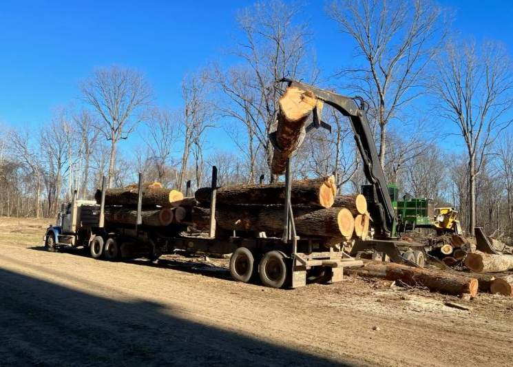 阿肯色州木材行业困境 工厂关停与政策影响并存(图4)