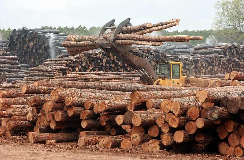 阿肯色州木材行业困境 工厂关停与政策影响并存(图3)