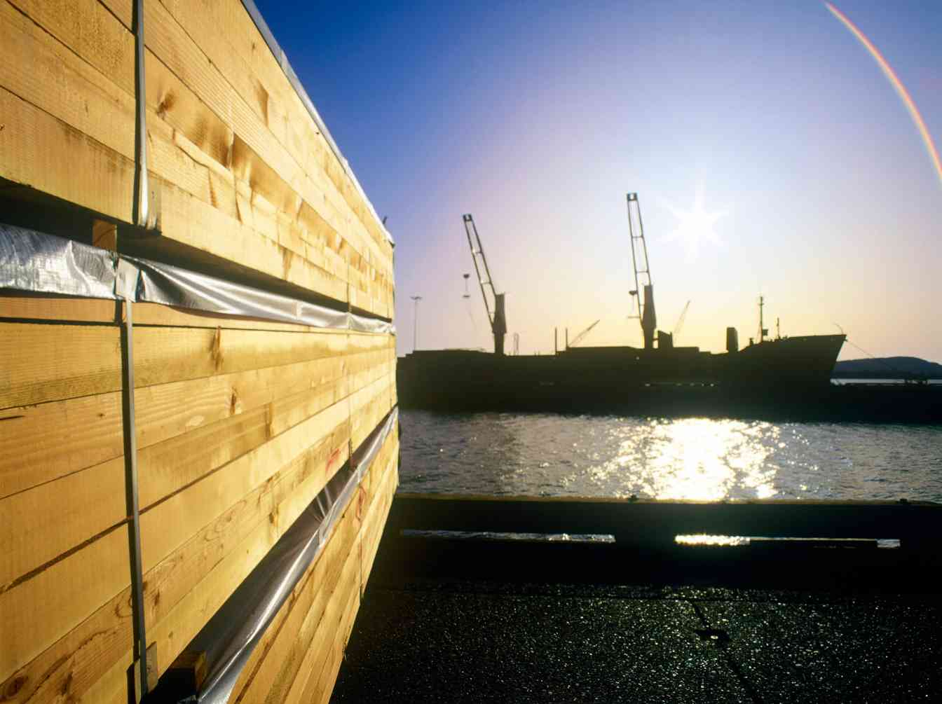 美国软木关税政策：进口依赖与林业结构性问题(图1)