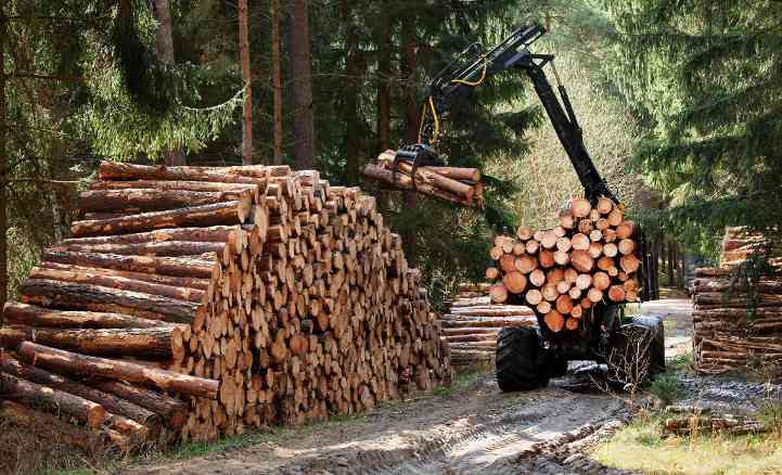 美国对木材加征关税 标志供应链重构开始(图1)