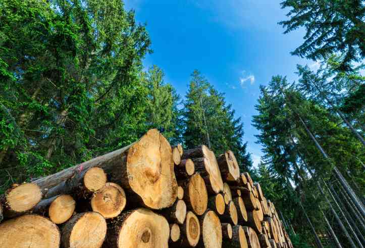 美国对木材加征关税 标志供应链重构开始(图4)