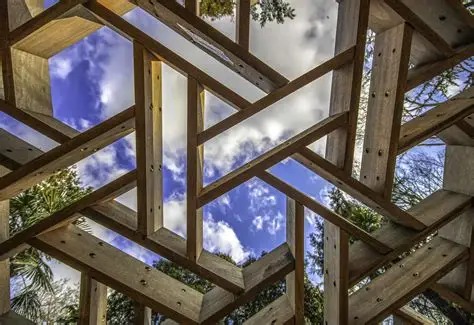 亨德罗·哈迪纳塔：以美国硬木突破设计极限(图3)