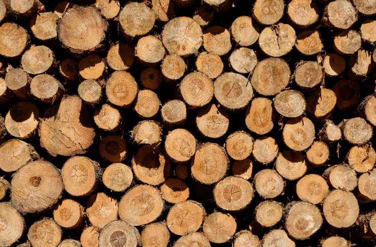 木材厂干一单亏一单？行业预警：圣诞旺季恐变裁员季！(图4)