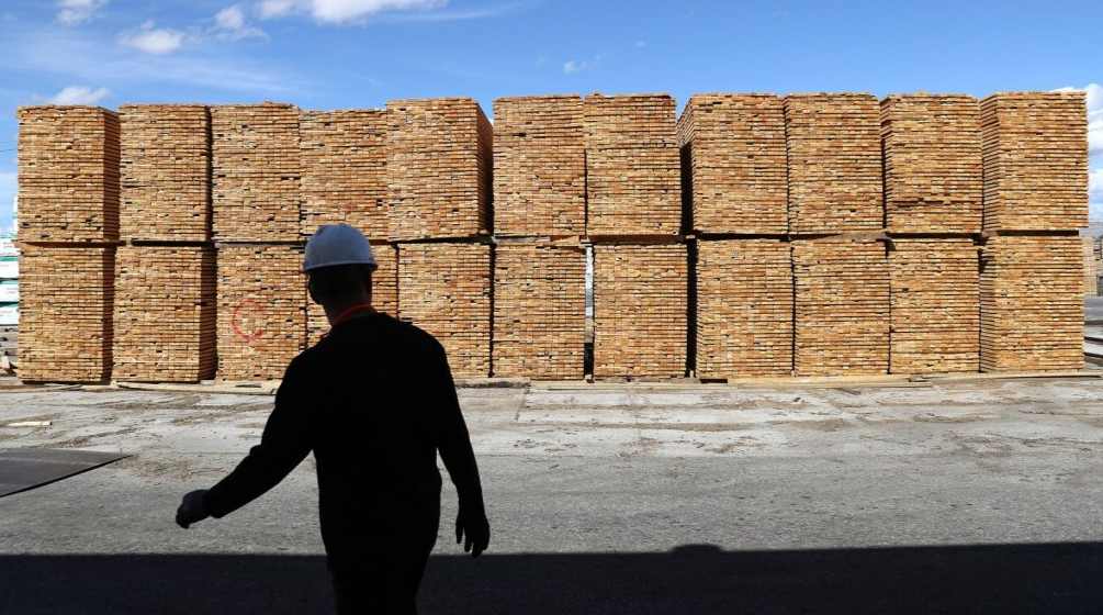 突发！三家锯木厂削减40%产量，规模相当于一整座工厂！(图3)