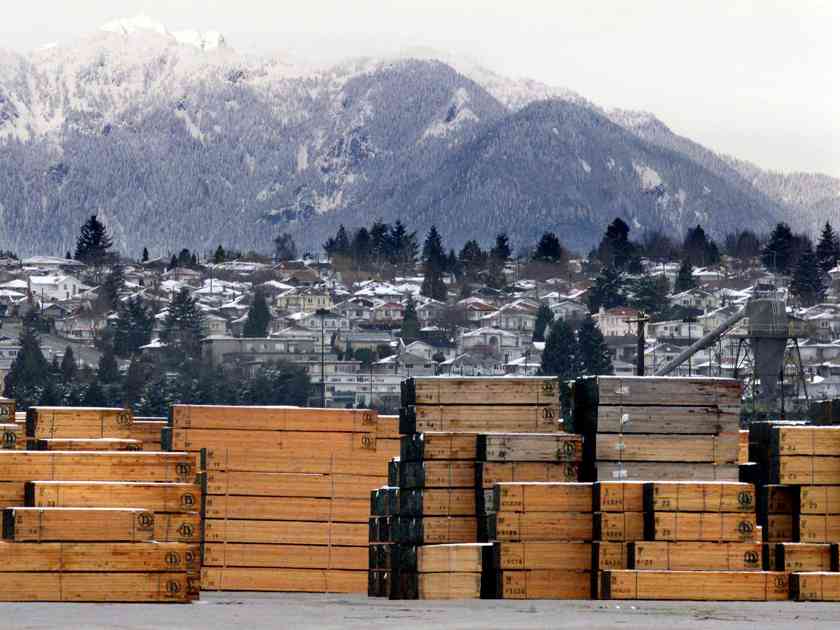 加拿大木材业遭遇寒冬：关税与价格双重挤压下的生存挑战(图3)