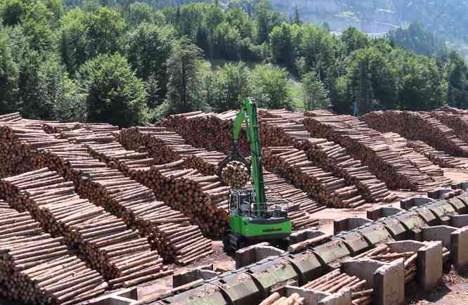 新法案延期在即，锯材行业面临成本攀升与不确定性(图2)