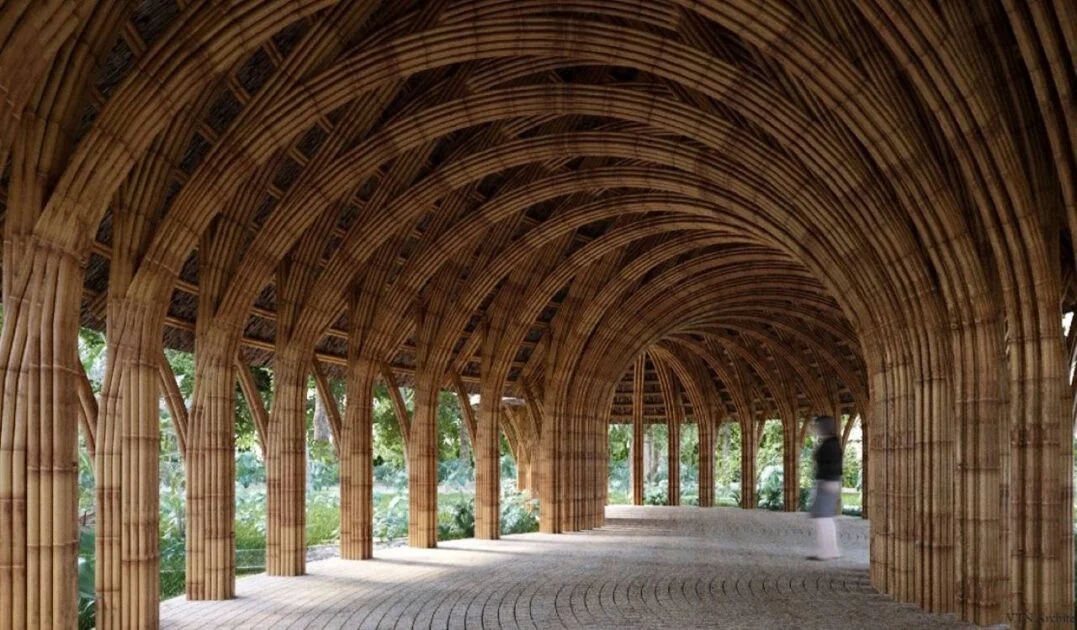 尼日利亚转向本土材料应对住房危机，泥土木材竹子成建筑新选择(图1)