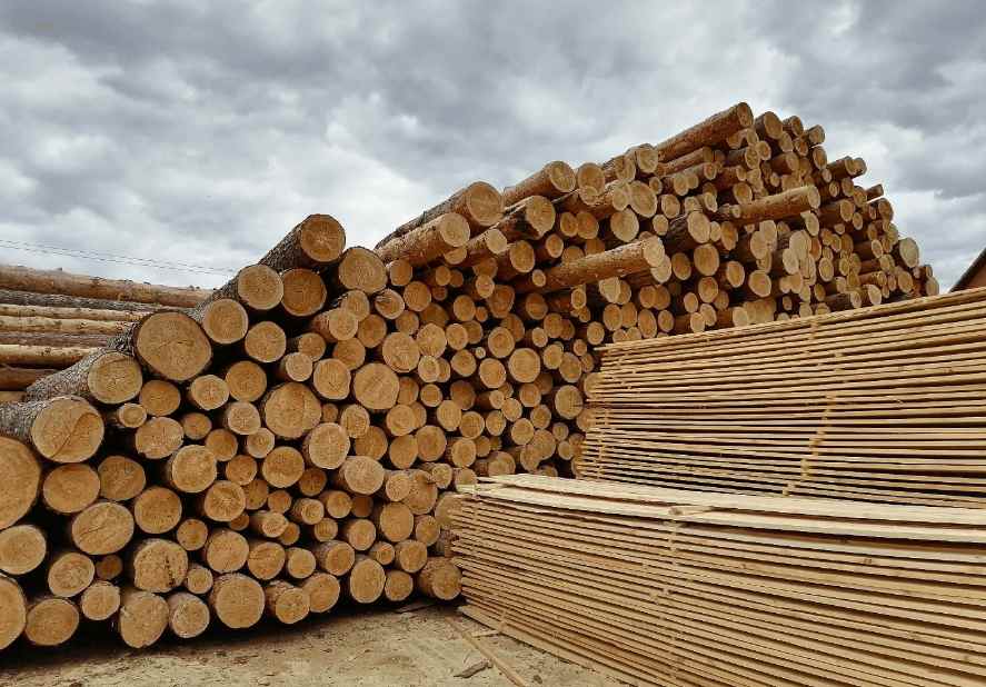 新法案延期在即，锯材行业面临成本攀升与不确定性(图4)