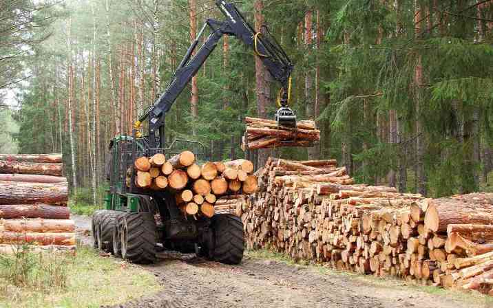 全球首创木板产品将在安大略省量产(图3)