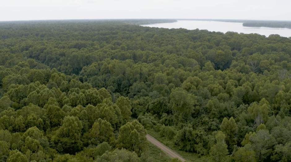 阿拉巴马州等三州林地收购扩大可持续林业投资渠道(图3)
