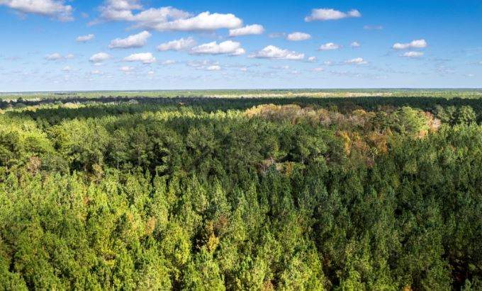 美国两大林业巨头Rayonier与PotlatchDeltic合并，缔造420万英亩林地管理版图(图2)