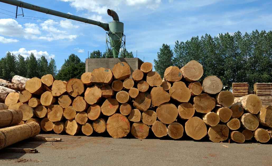 德国木材价格全面上涨，需求激增与供应紧缩引关注(图1)