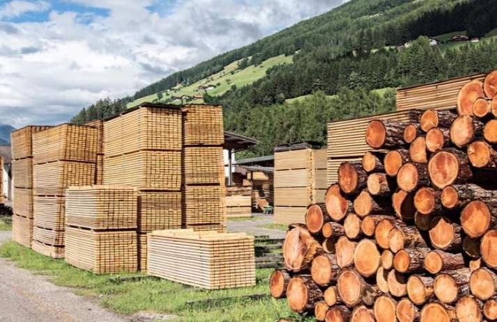 德国木材价格全面上涨，需求激增与供应紧缩引关注(图2)